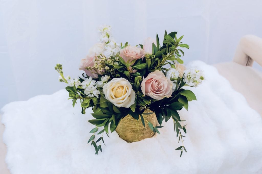 The Agassiz Collection arrangement